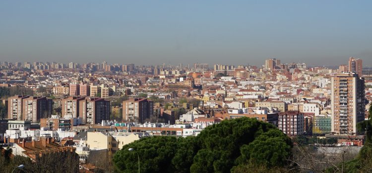 Searching for the bear and the strawberry tree in Madrid Searching for the bear and the strawberry tree in Madrid