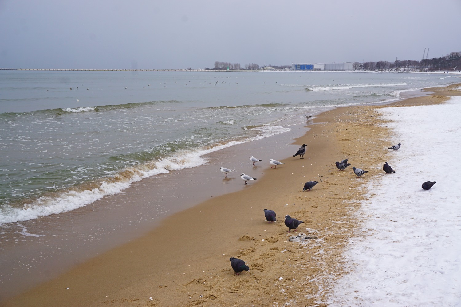 The Baltic Sea and Brzeźno Beach, Gdańsk The Baltic Sea and Brzeźno Beach, Gdańsk